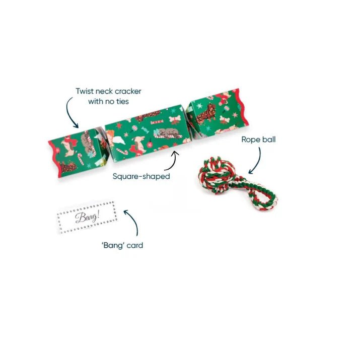 Buy Dog Christmas Cracker by Paperie - at White Doors & Co