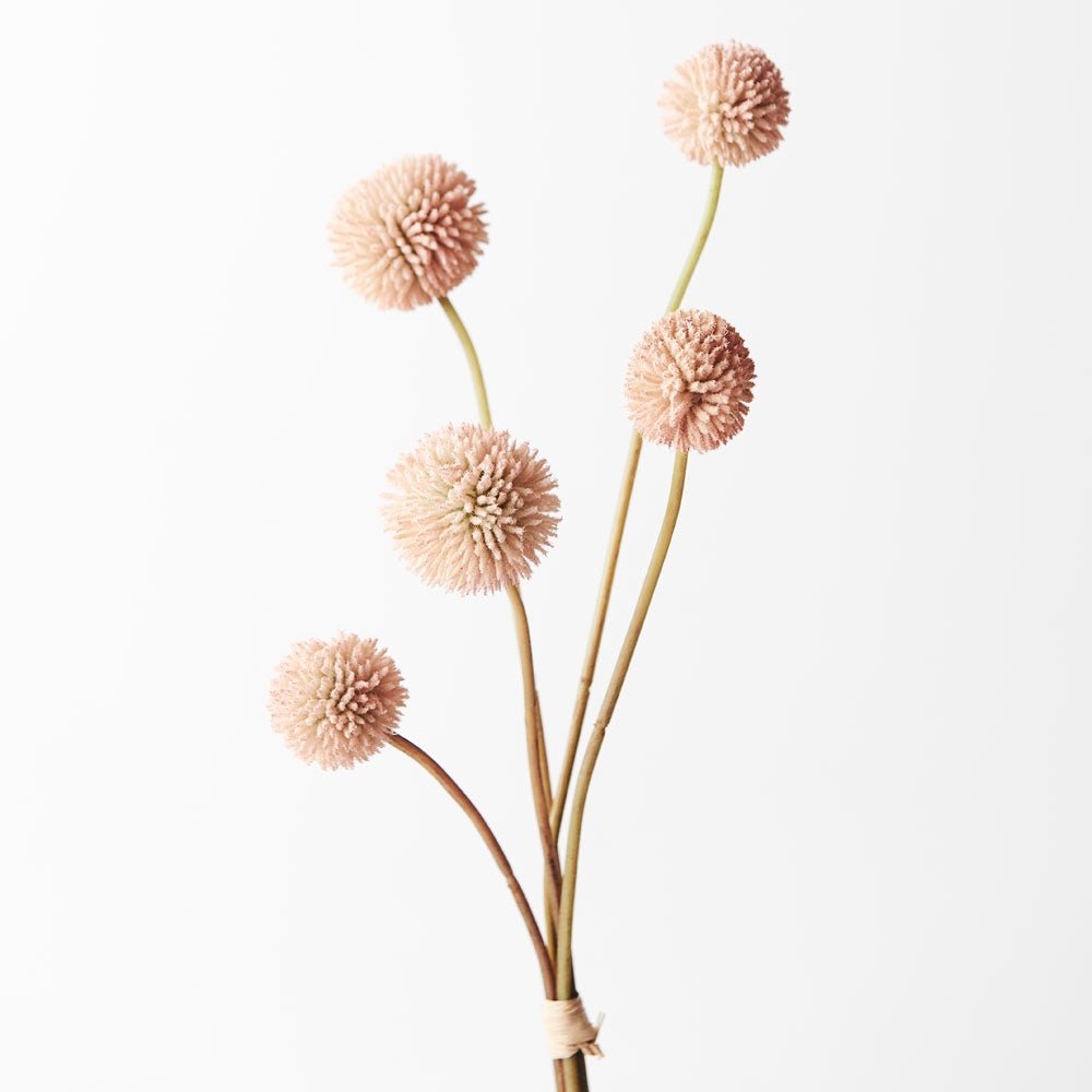 Buy Billy Button Bundle- Light Pink by Floral Interiors - at White Doors & Co