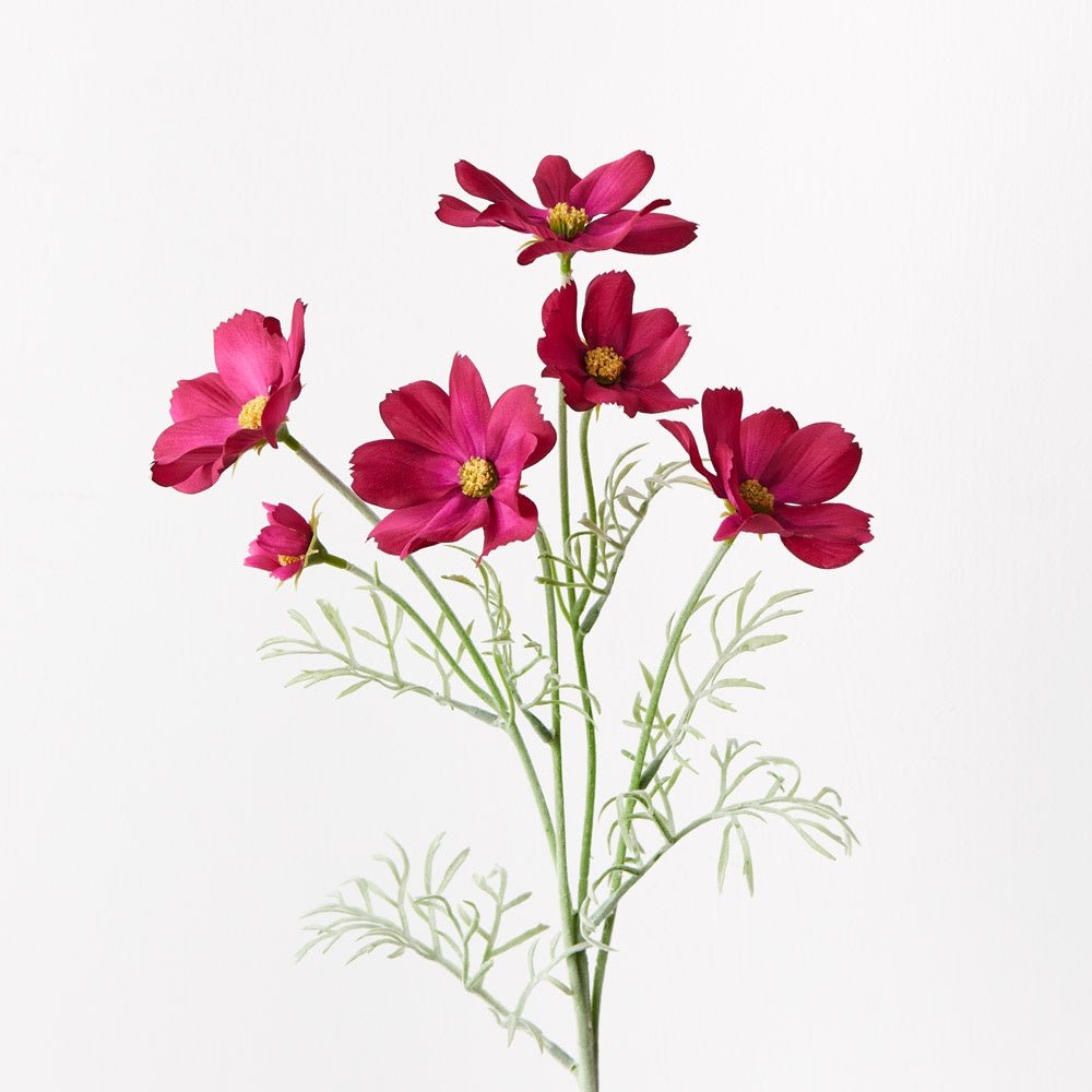 Buy Cosmos Spray-Burgundy by Floral Interiors - at White Doors & Co