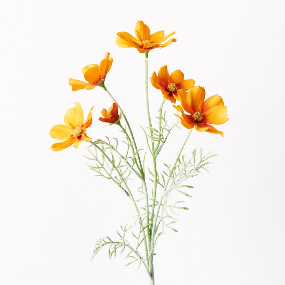 Buy Cosmos Spray-Orange by Floral Interiors - at White Doors & Co