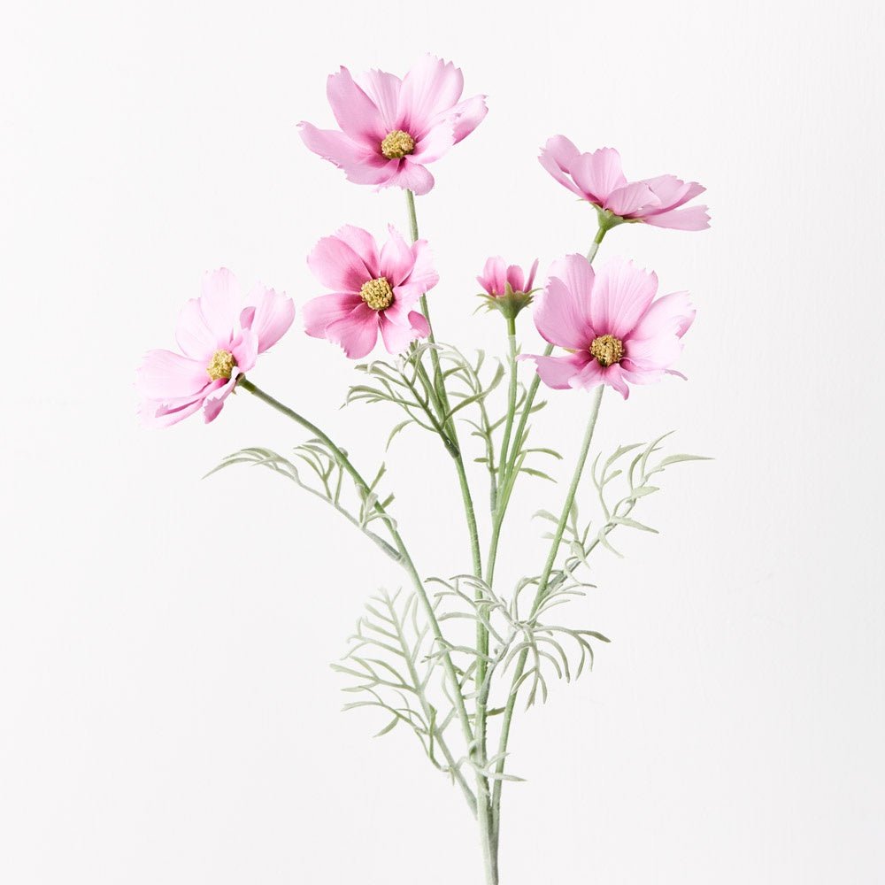 Buy Cosmos Spray-Pink Mauve by Floral Interiors - at White Doors & Co