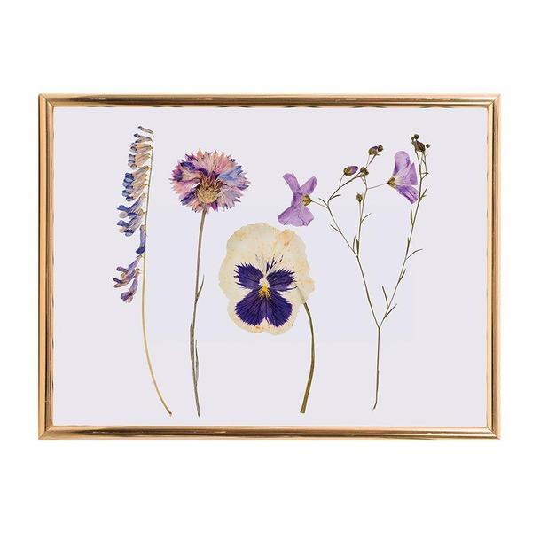 Buy Flower Press Frame by IndependenceStudios - at White Doors & Co
