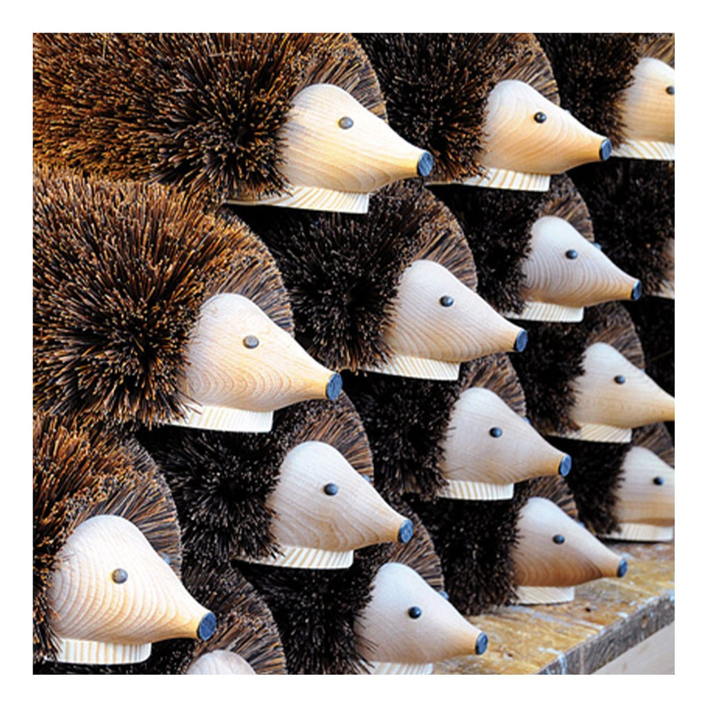 Buy Hedgehog Shoe Cleaner by Redecker - at White Doors & Co