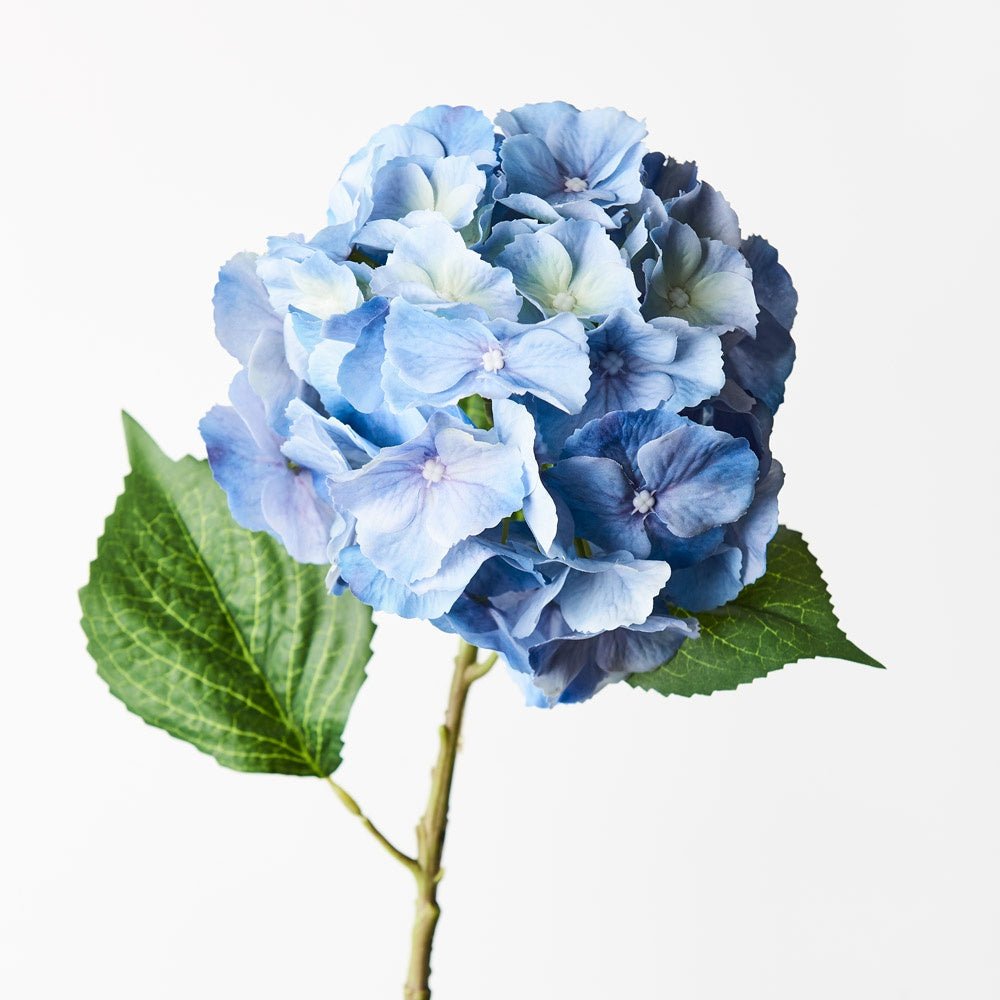 Buy Hydrangea - Blue by Floral Interiors - at White Doors & Co