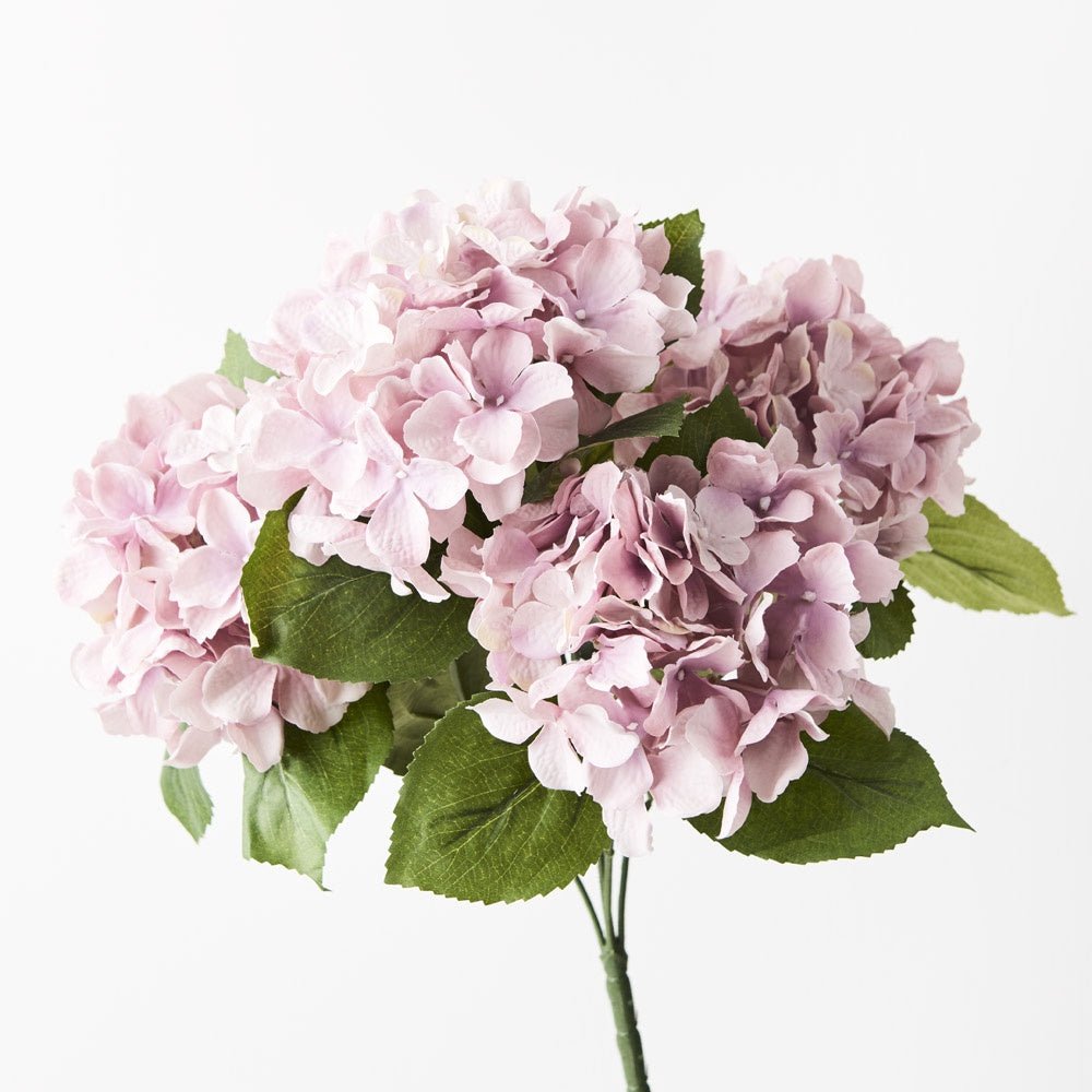 Buy Hydrangea Bush-Dusty Pink by Floral Interiors - at White Doors & Co