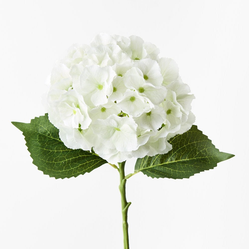 Buy Hydrangea-White Green by Floral Interiors - at White Doors & Co