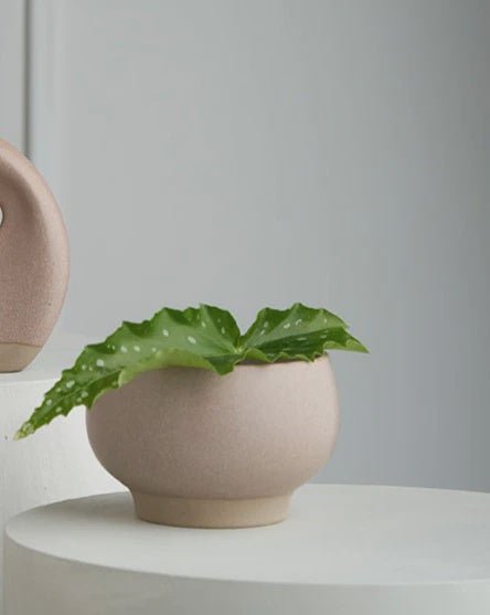 Buy Ikebana Vase / Marble Blush by Robert Gordon - at White Doors & Co