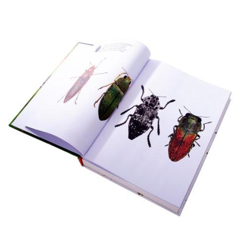 Buy IS GIFT Puzzle Book - Insects by IndependenceStudios - at White Doors & Co