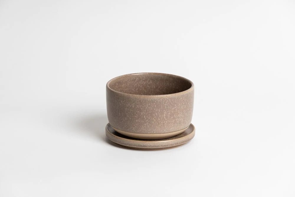 Buy Jojo Bowl by Ned Collections - at White Doors & Co