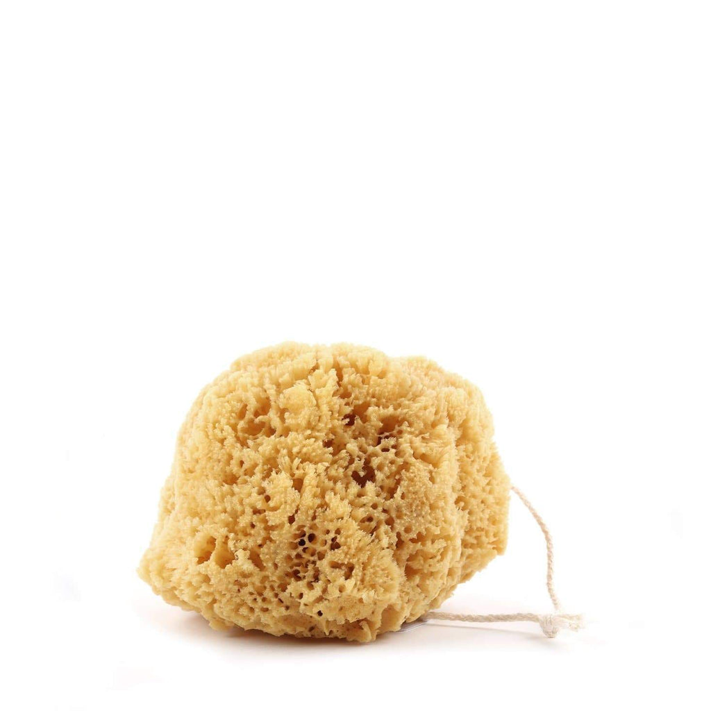 Buy Natural Bath Sponge by Redecker - at White Doors & Co