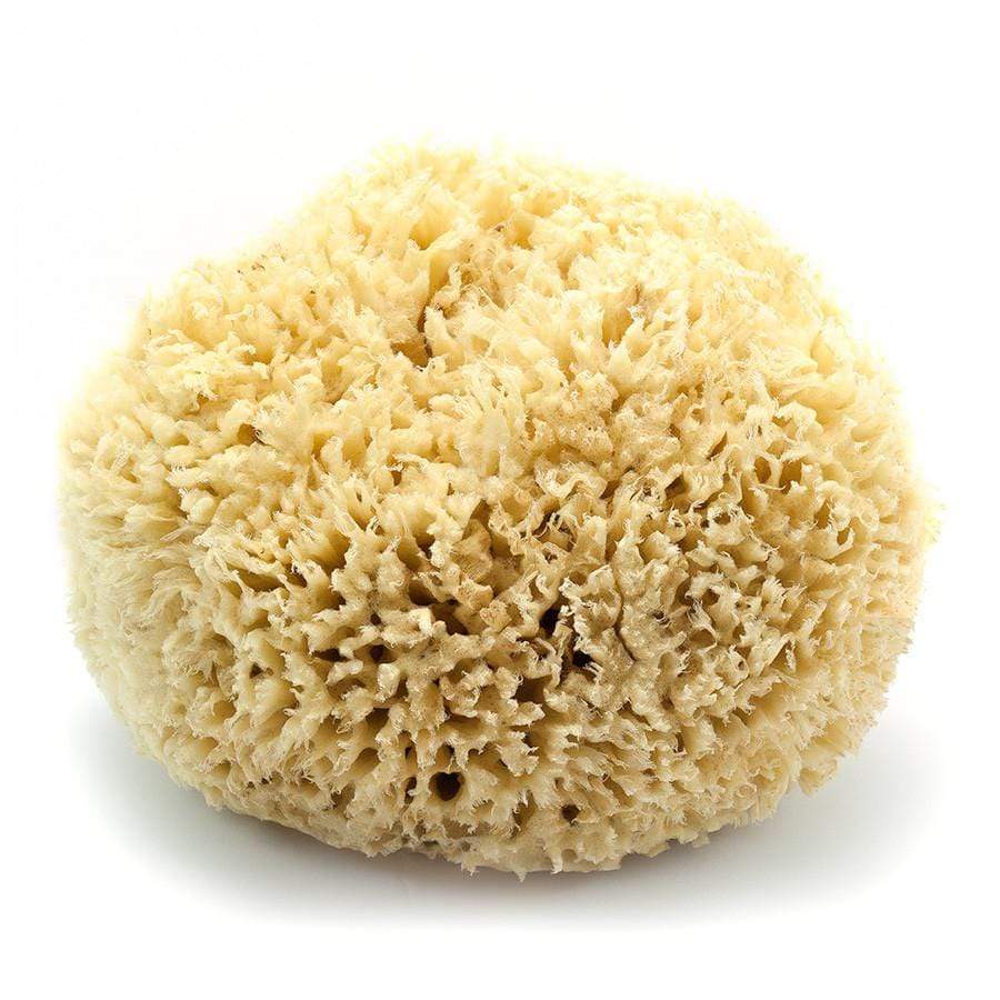 Buy Natural Bath Sponge by Redecker - at White Doors & Co