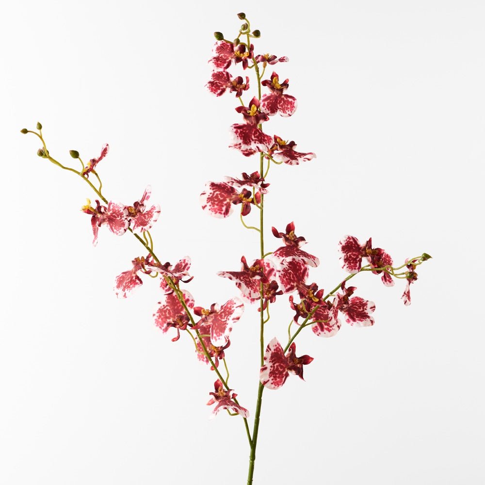 Buy Orchid Dancing - Crimson by Floral Interiors - at White Doors & Co