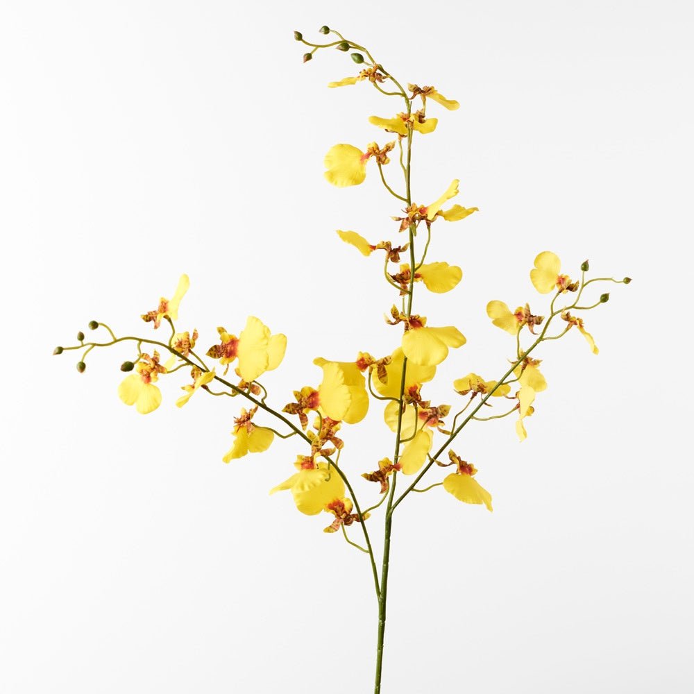 Buy Orchid Dancing - Yellow by Floral Interiors - at White Doors & Co