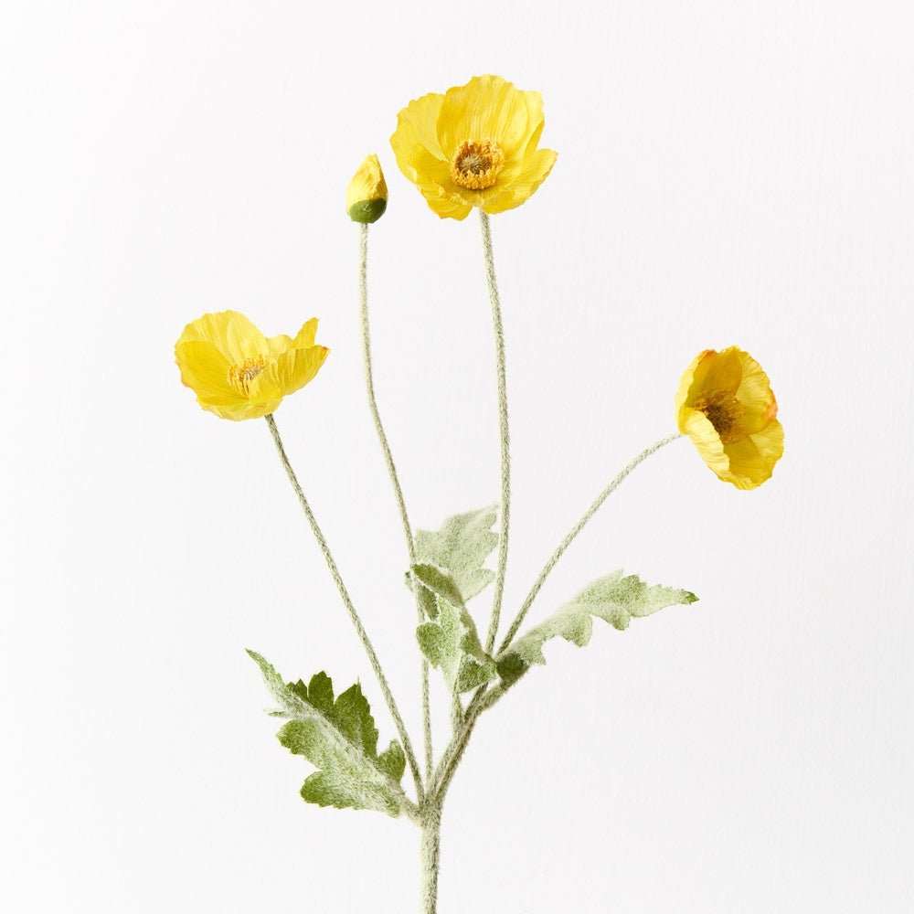 Buy Poppy Iceland Spray -Yellow by Floral Interiors - at White Doors & Co