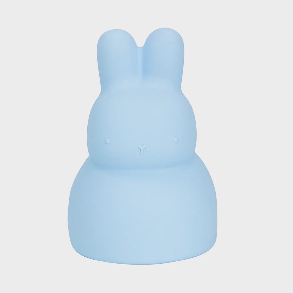 Buy Silicone Bunny Piggy Bank by Annabel Trends - at White Doors & Co