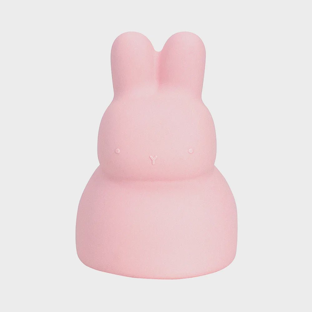 Buy Silicone Bunny Piggy Bank -Pink by Annabel Trends - at White Doors & Co